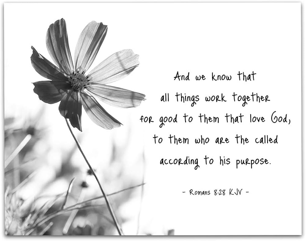 Isn’t That Beautiful?